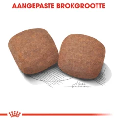 Royal Canin Giant Adult - Hondenvoer -Bekend Hondenspullen Winkel royal canin giant adult hondenvoer 128399 1000 none