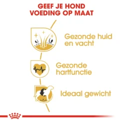 Royal Canin Golden Retriever Adult - Hondenvoer -Bekend Hondenspullen Winkel royal canin golden retriever adult hondenvoer 138895 1000 none