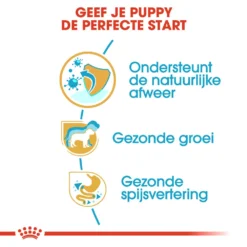 Royal Canin Jack Russell Terrier Puppy - Hondenvoer -Bekend Hondenspullen Winkel royal canin jack russell terrier puppy hondenvoer 139315 1000 none