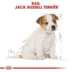 Royal Canin Jack Russell Terrier Puppy - Hondenvoer -Bekend Hondenspullen Winkel royal canin jack russell terrier puppy hondenvoer 139324 1000 none