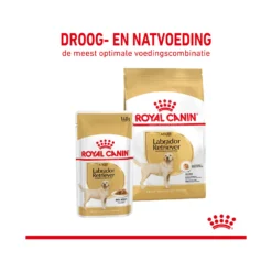 Royal Canin Labrador Retriever Adult Wet -Bekend Hondenspullen Winkel royal canin labrador retriever adult wet 165763 2000 none