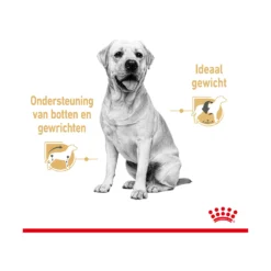 Royal Canin Labrador Retriever Adult Wet -Bekend Hondenspullen Winkel royal canin labrador retriever adult wet 165781 2000 none