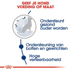 Royal Canin Maxi Ageing 8+ - Hondenvoer 15 Royal Canin Maxi Ageing 8+ - Hondenvoer -Bekend Hondenspullen Winkel royal canin maxi ageing 8 hondenvoer 128711 1000 none