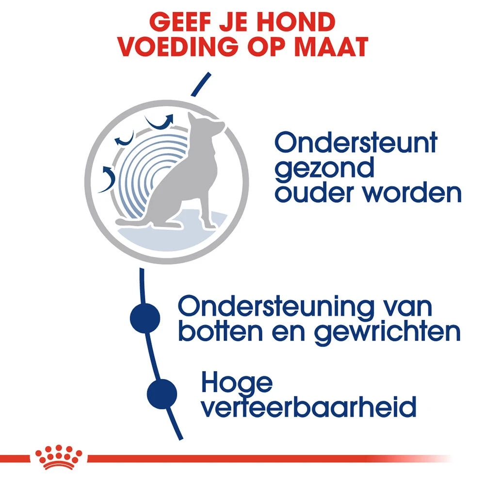 Royal Canin Maxi Ageing 8+ - Hondenvoer 6 Royal Canin Maxi Ageing 8+ - Hondenvoer - Afbeelding 6