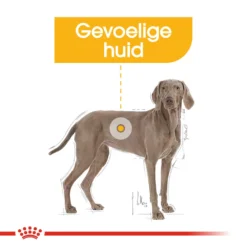 Royal Canin Maxi Dermacomfort - Hondenvoer -Bekend Hondenspullen Winkel royal canin maxi dermacomfort hondenvoer 132428 1000 none