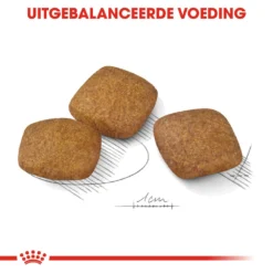 Royal Canin Maxi Relax Care - Hondenvoer -Bekend Hondenspullen Winkel royal canin maxi relax care hondenvoer 131327 1000 none