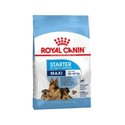 Royal Canin Maxi Starter Mother & Babydog - Hondenvoer 15 Royal Canin Maxi Starter Mother & Babydog - Hondenvoer -Bekend Hondenspullen Winkel royal canin maxi starter mother babydog 114320 0500 none
