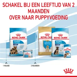 Royal Canin Maxi Starter Mother & Babydog - Hondenvoer 19 Royal Canin Maxi Starter Mother & Babydog - Hondenvoer -Bekend Hondenspullen Winkel royal canin maxi starter mother babydog hondenvoer 206849 2000 none