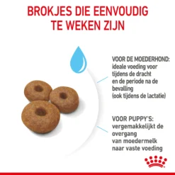 Royal Canin Maxi Starter Mother & Babydog - Hondenvoer 18 Royal Canin Maxi Starter Mother & Babydog - Hondenvoer -Bekend Hondenspullen Winkel royal canin maxi starter mother babydog hondenvoer 206852 2000 none