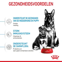 Royal Canin Maxi Starter Mother & Babydog - Hondenvoer 17 Royal Canin Maxi Starter Mother & Babydog - Hondenvoer -Bekend Hondenspullen Winkel royal canin maxi starter mother babydog hondenvoer 206855 2000 none