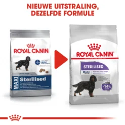 Royal Canin Maxi Sterilised - Hondenvoer 19 Royal Canin Maxi Sterilised - Hondenvoer -Bekend Hondenspullen Winkel royal canin maxi sterilised hondenvoer 132659 1000 none
