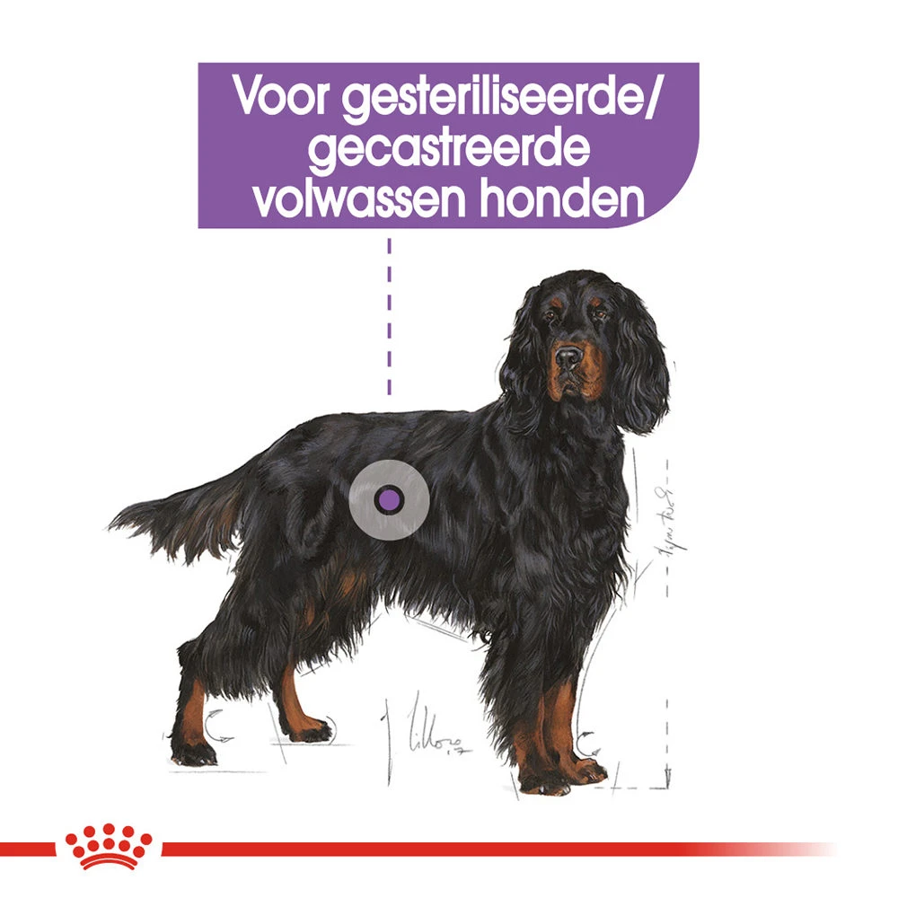 Royal Canin Maxi Sterilised - Hondenvoer 5 Royal Canin Maxi Sterilised - Hondenvoer - Afbeelding 5