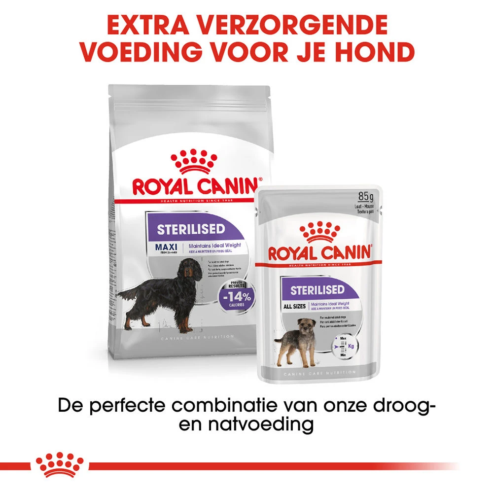 Royal Canin Maxi Sterilised - Hondenvoer 9 Royal Canin Maxi Sterilised - Hondenvoer - Afbeelding 9