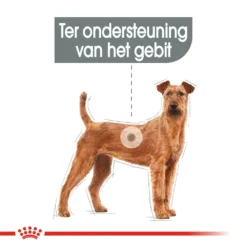 Royal Canin Medium Dental Care - Hondenvoer -Bekend Hondenspullen Winkel royal canin medium dental care hondenvoer 144206 1000 none