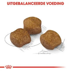 Royal Canin Medium Dental Care - Hondenvoer -Bekend Hondenspullen Winkel royal canin medium dental care hondenvoer 144209 1000 none
