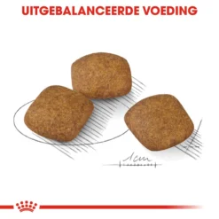 Royal Canin Medium Relax Care - Hondenvoer 16 Royal Canin Medium Relax Care - Hondenvoer -Bekend Hondenspullen Winkel royal canin medium relax care hondenvoer 131207 1000 none