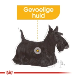 Royal Canin Dermacomfort Mini - Hondenvoer 21 Royal Canin Dermacomfort Mini - Hondenvoer -Bekend Hondenspullen Winkel royal canin mini dermacomfort hondenvoer 132983 1000 none