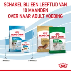Royal Canin Mini Puppy - Hondenvoer 31 Royal Canin Mini Puppy - Hondenvoer -Bekend Hondenspullen Winkel royal canin mini puppy hondenvoer 206960 2000 none