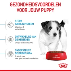 Royal Canin Mini Puppy - Hondenvoer 29 Royal Canin Mini Puppy - Hondenvoer -Bekend Hondenspullen Winkel royal canin mini puppy hondenvoer 206966 2000 none