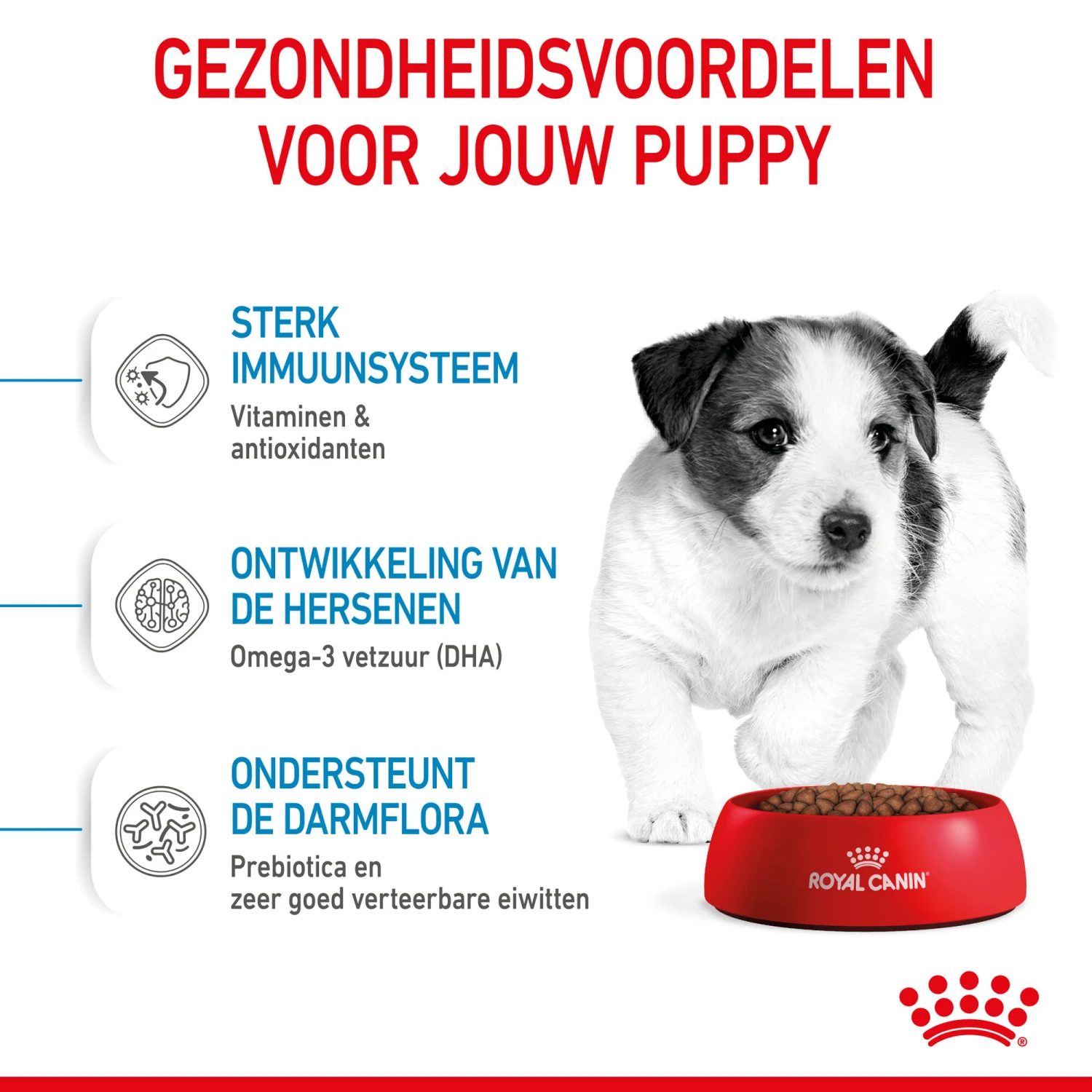 Royal Canin Mini Puppy - Hondenvoer 12 Royal Canin Mini Puppy - Hondenvoer - Afbeelding 12