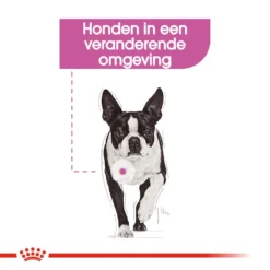 Royal Canin Mini Relax Care - Hondenvoer -Bekend Hondenspullen Winkel royal canin mini relax care hondenvoer 131249 1000 none