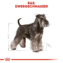 Royal Canin Mini Schnauzer Adult - Hondenvoer -Bekend Hondenspullen Winkel royal canin mini schnauzer adult hondenvoer 140080 1000 none