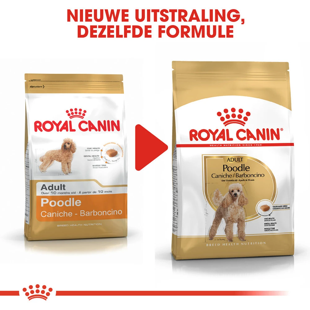 Royal Canin Poodle Adult - Hondenvoer 7 Royal Canin Poodle Adult - Hondenvoer - Afbeelding 7