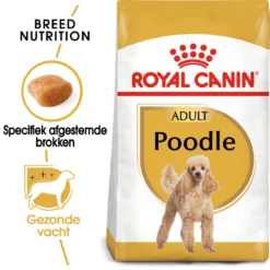 Royal Canin Poodle Adult - Hondenvoer 12 Royal Canin Poodle Adult - Hondenvoer -Bekend Hondenspullen Winkel royal canin poodle adult hondenvoer 139723 1000 none