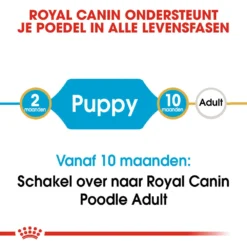 Royal Canin Poodle Puppy - Hondenvoer -Bekend Hondenspullen Winkel royal canin poodle puppy hondenvoer 139732 1000 none