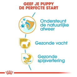 Royal Canin Poodle Puppy - Hondenvoer -Bekend Hondenspullen Winkel royal canin poodle puppy hondenvoer 139750 1000 none