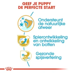 Royal Canin Rottweiler Puppy - Hondenvoer -Bekend Hondenspullen Winkel royal canin rottweiler puppy hondenvoer 140026 1000 none
