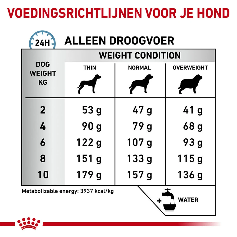 Royal Canin Skin Care Kleine Hond 7 Royal Canin Skin Care Kleine Hond - Afbeelding 7