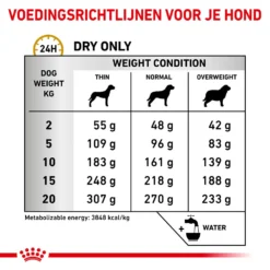 Royal Canin Urinary S/O Ageing 7+ Hond 20 Royal Canin Urinary S/O Ageing 7+ Hond -Bekend Hondenspullen Winkel royal canin urinary so ageing 7 hond 153739 1000 none