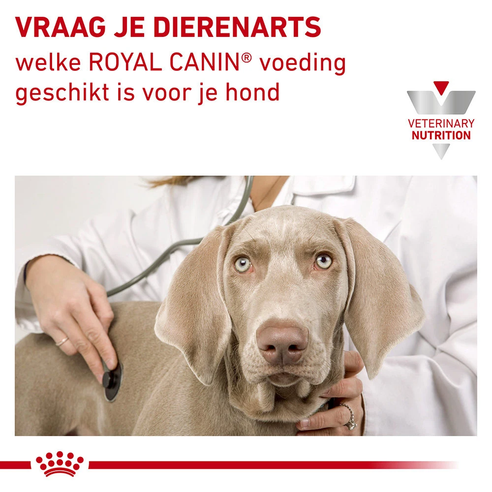 Royal Canin Urinary S/O Ageing 7+ Hond 11 Royal Canin Urinary S/O Ageing 7+ Hond - Afbeelding 11