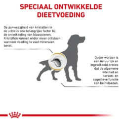 Royal Canin Urinary S/O Ageing 7+ Hond 17 Royal Canin Urinary S/O Ageing 7+ Hond -Bekend Hondenspullen Winkel royal canin urinary so ageing 7 hond 153751 1000 none