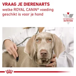Royal Canin Urinary S/O Moderate Calorie Hond -Bekend Hondenspullen Winkel royal canin urinary so moderate calorie hond 153727 1000 none