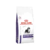 Royal Canin VCN - Neutered Junior Large Dog