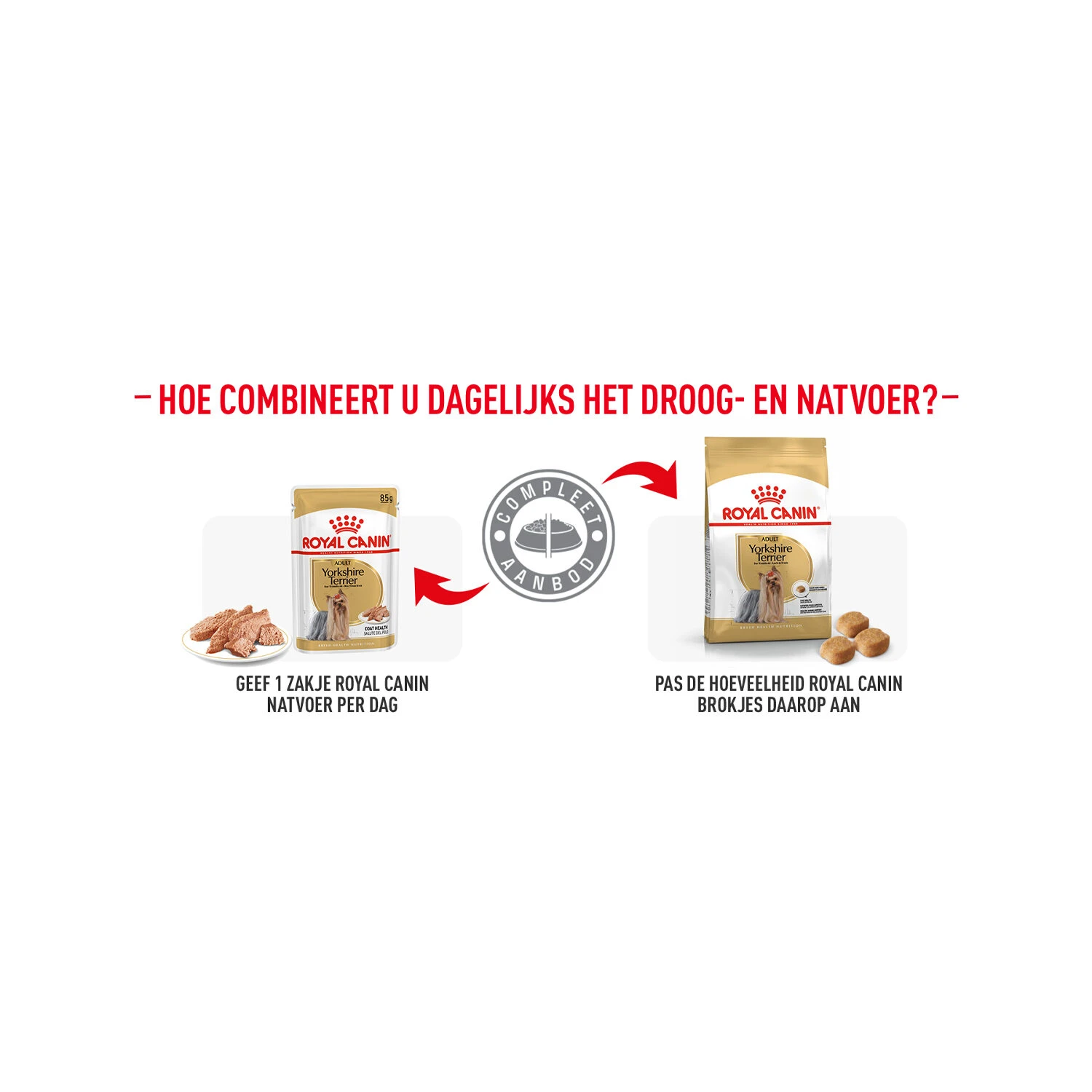 Royal Canin Yorkshire Terrier Adult - Hondenvoer 8 Royal Canin Yorkshire Terrier Adult - Hondenvoer - Afbeelding 8