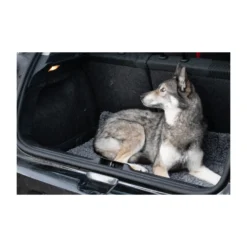 Royal Dry Doormat -Bekend Hondenspullen Winkel royal dry doormat 187417 2000 none