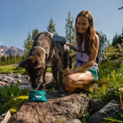 Ruffwear Flat Out Dog Collar - Alpenglow Burst -Bekend Hondenspullen Winkel ruffwear flat out dog collar alpenglow burst 204812 0500 none