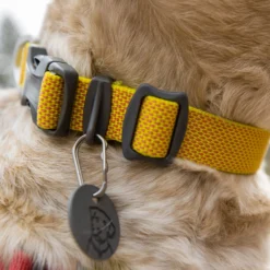 Ruffwear Hi & Light Collar -Bekend Hondenspullen Winkel ruffwear hi light collar 194258 1000 none