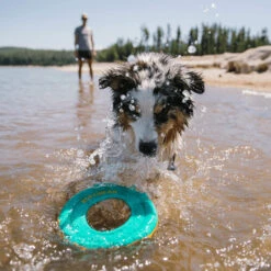 Ruffwear Hydro Plane Floating Throw Toy -Bekend Hondenspullen Winkel ruffwear hydro plane floating throw toy 200822 2000 none