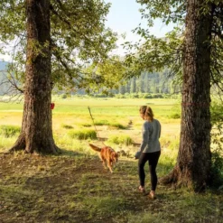 Ruffwear Knot-a-Hitch -Bekend Hondenspullen Winkel ruffwear knot a hitch 124643 0500 none