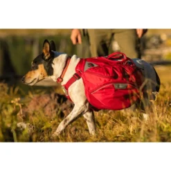 Ruffwear Palisades Pack -Bekend Hondenspullen Winkel ruffwear palisades pack 199577 0500 none