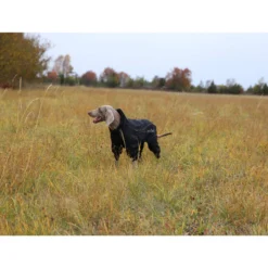 RukkaPets Protect Overall Zwart -Bekend Hondenspullen Winkel rukkapets protect overall zwart 216401 2000 none