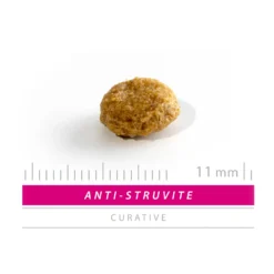 SANIMED Anti Struvite Dog 10 SANIMED Anti Struvite Dog -Bekend Hondenspullen Winkel sanimed anti struvite dog 158498 1500 none