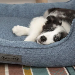 Scruffs Manhattan Box Bed 22 Scruffs Manhattan Box Bed -Bekend Hondenspullen Winkel scruffs manhattan box bed 209510 1500 none 1