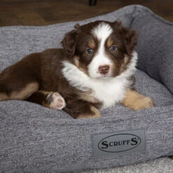 Scruffs Manhattan Box Bed 23 Scruffs Manhattan Box Bed -Bekend Hondenspullen Winkel scruffs manhattan box bed 209513 1500 none 1