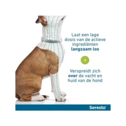 Seresto Hond -Bekend Hondenspullen Winkel seresto hond 174112 0500 none