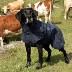 Siccaro WetDog SupremePro 2.0 -Bekend Hondenspullen Winkel siccaro wetdog supremepro 190159 1000 none